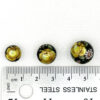 TB03/YELLOW ROSE/BLK #022 - Image 2