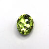 P4100 JONQUIL COLOR