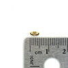 GTR22928 (Gold Plated) - Image 2